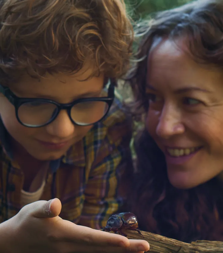 A mother and her son outdoors observing a beetle